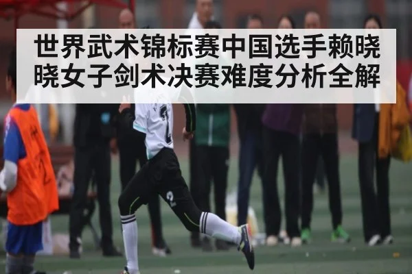 世界武术锦标赛中国选手赖晓晓女子剑术决赛难度分析全解